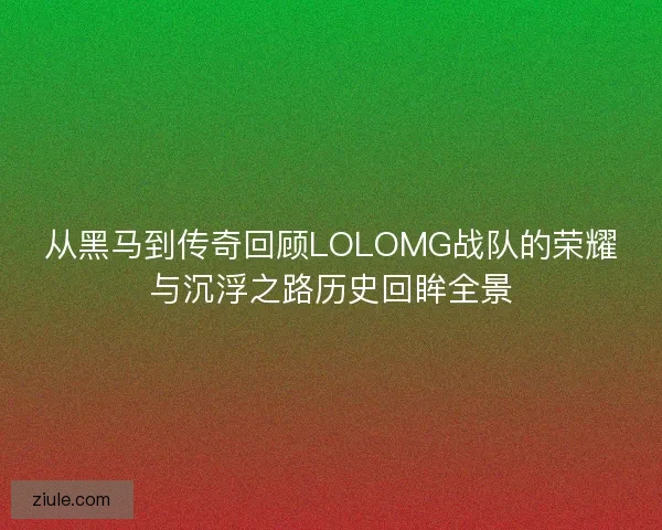 从黑马到传奇回顾LOLOMG战队的荣耀与沉浮之路历史回眸全景