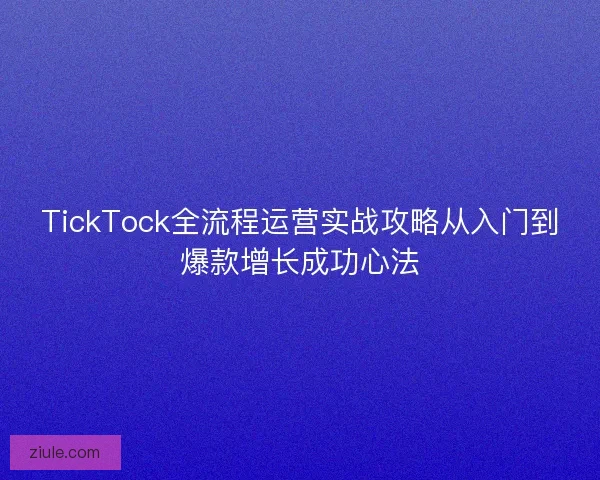 TickTock全流程运营实战攻略从入门到爆款增长成功心法
